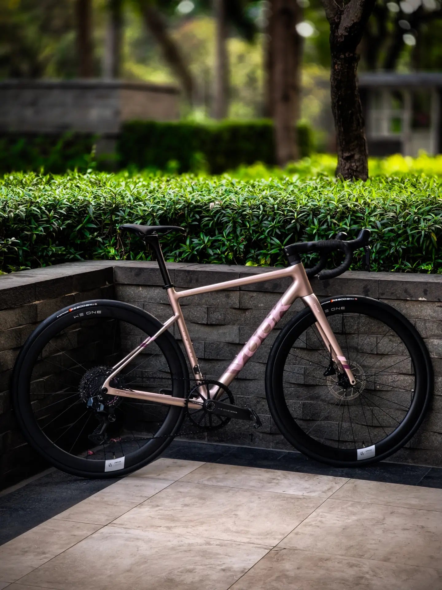 Vook V8E Ltwoo EGR 1*13 Speed Electronic Shifting Pink